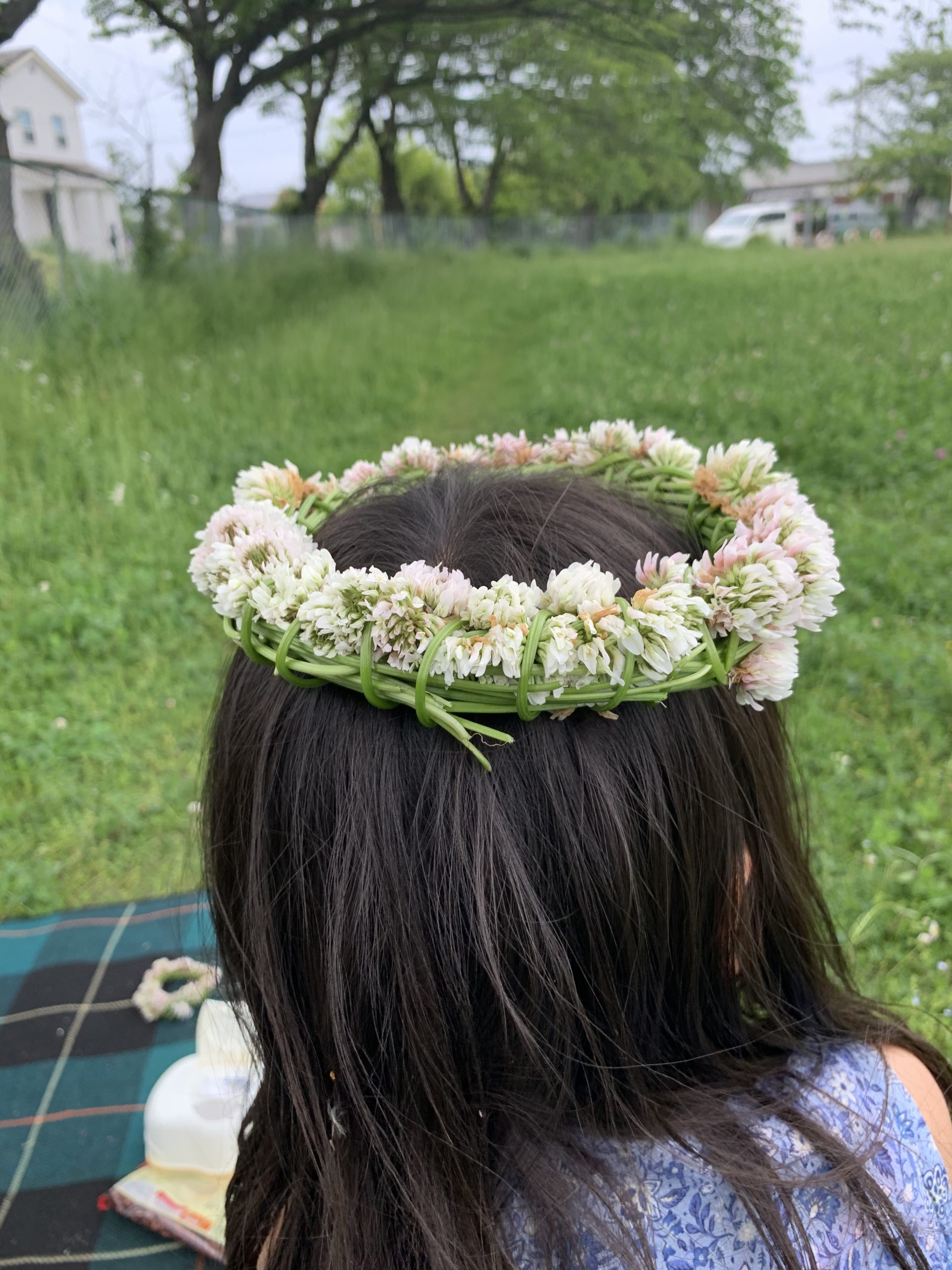 白詰草の花かんむりの作り方徹底解説 公園遊び 花かんむりを編みながら